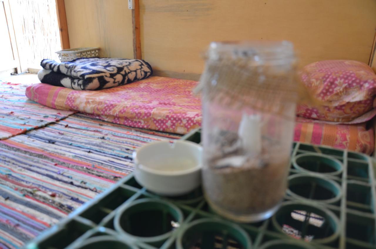 Sakratah Camp - Eco Friendly 호텔 타바 외부 사진